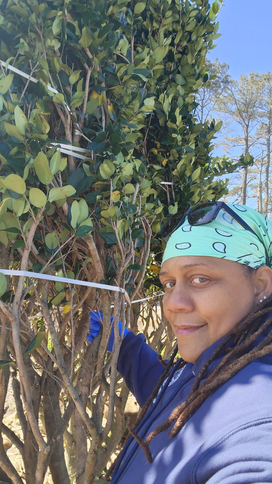Gardening Work